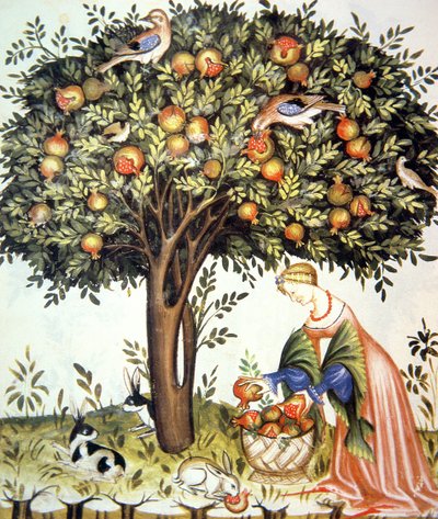 Gathering Bitter Pomegranates, from Tacuinum Sanitatis by Italian School